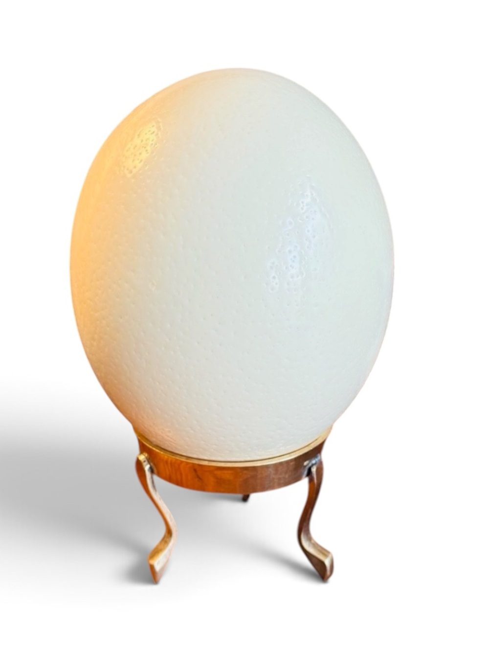 Large Real Blown Ostrich Egg - Picture 15 of 17